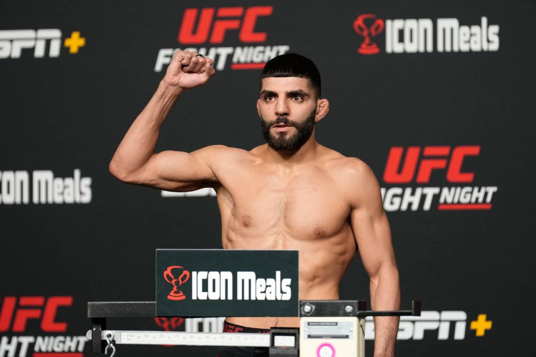 Амир Альбази