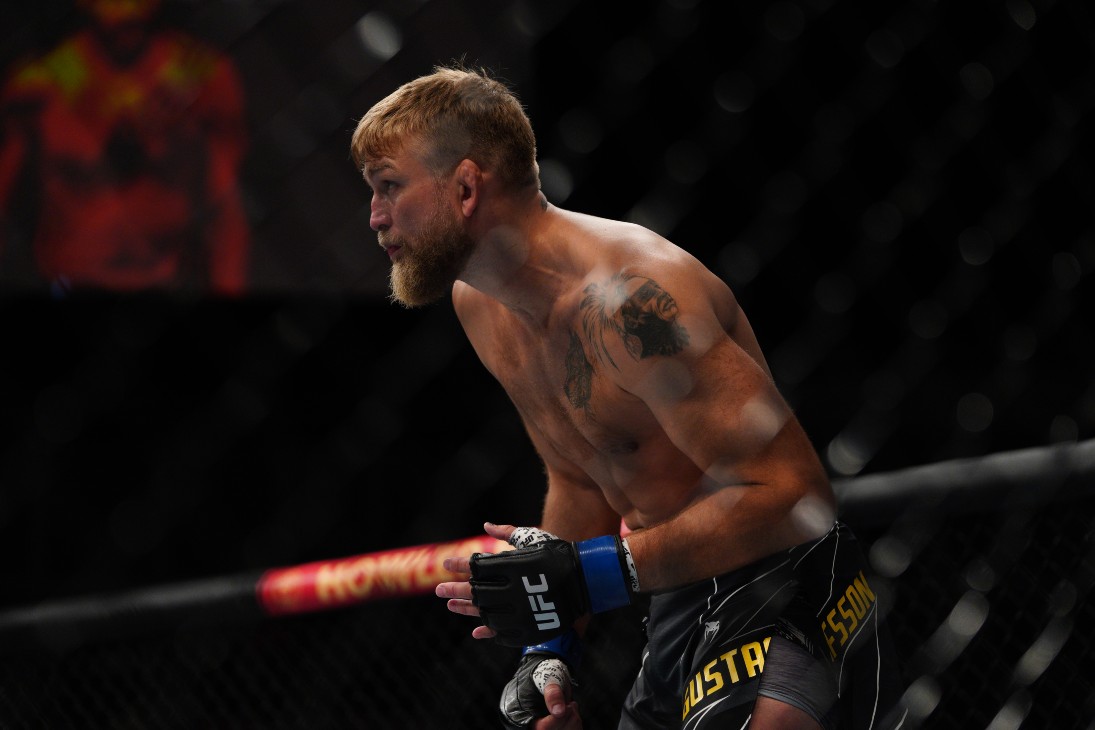 Александр Густафссон