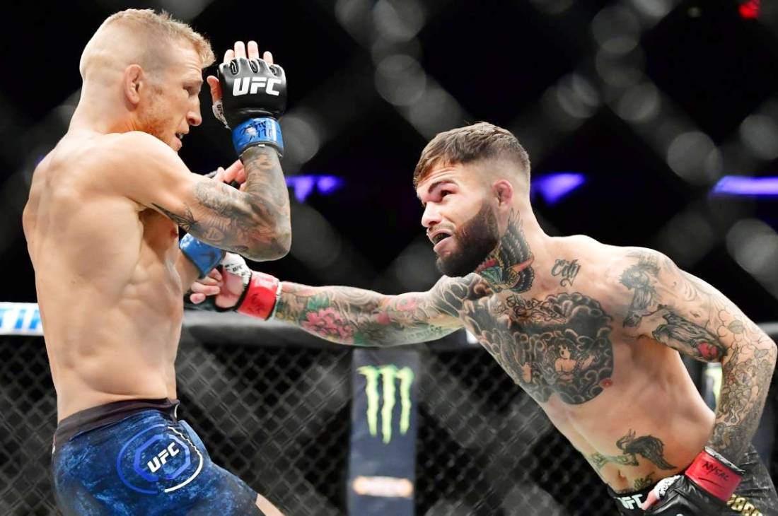 Тиджей Диллашоу против Коди Гарбрандта