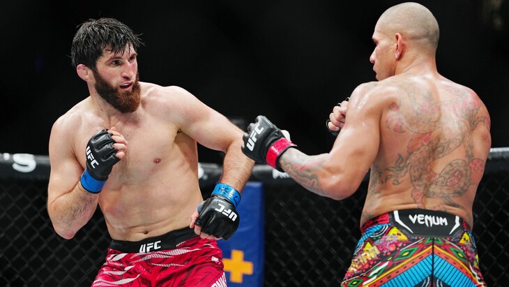 Магомед Анкалаев и Алекс Перейра