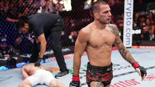 Александре Пантожа