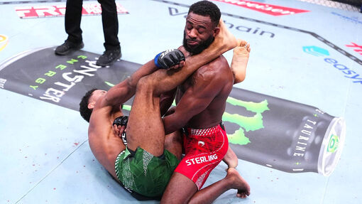 Юссеф Залал против Алджамейна Стерлинга