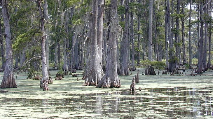 Угодья Пантанал