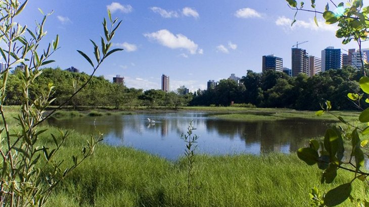 Экологический парк Коко