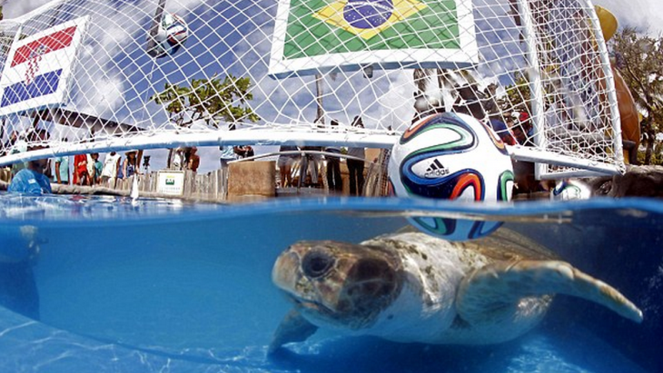 Большой Босс в деле