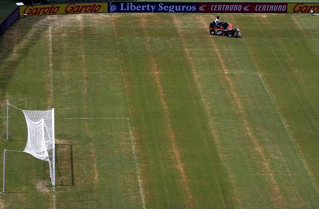 Для матчей ПФЛ сойдет