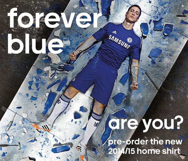 Домашний вариант «Синих» на сезон 2013/14