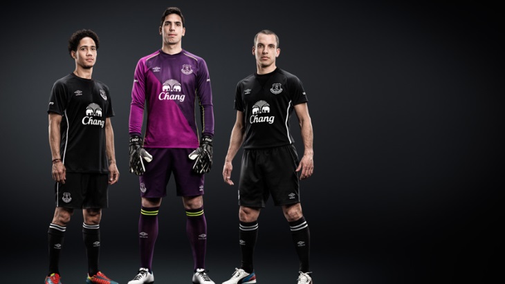 Выездной вариант «Эвертона» на сезон 2013/14