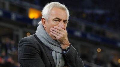 Берт ван Марвейк