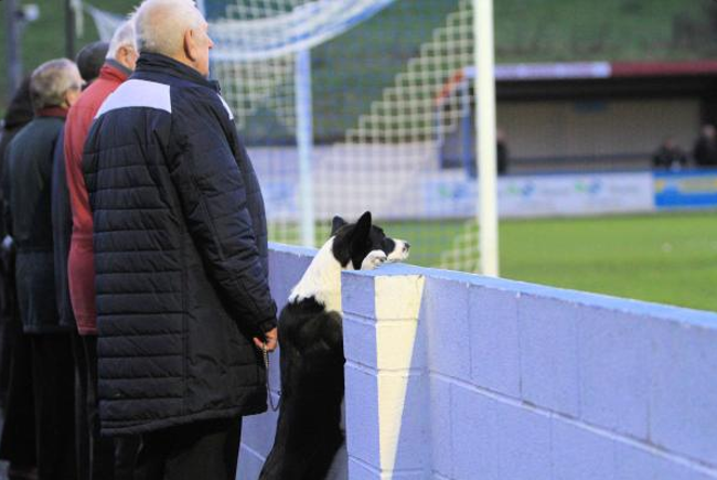 Преданный фан «Колвин Бэй»