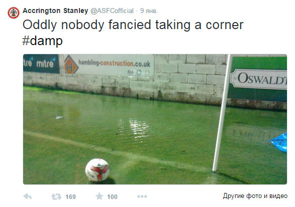 Тот самый участок газона