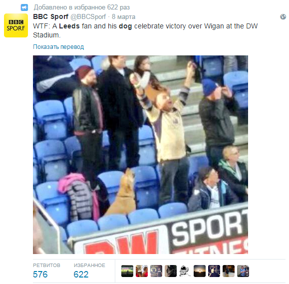 Пес поддерживает «Лидс»