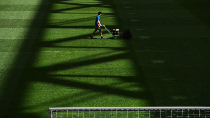 Газон «Сан-Сиро»