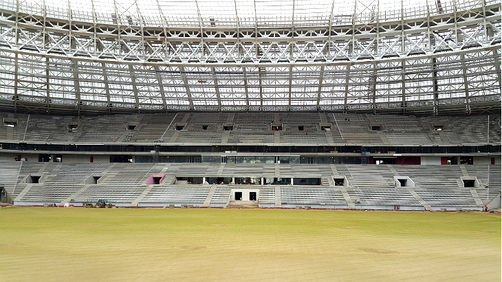 Газон «Лужников»