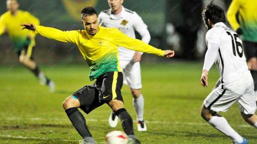 Браун Форбс