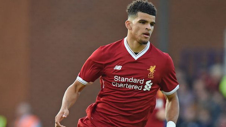 Доминик Соланке