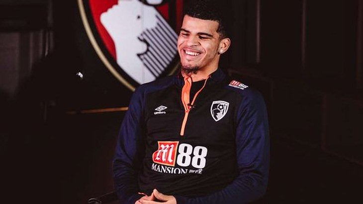 Доминик Соланке