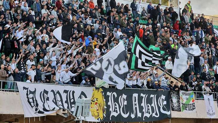 Болельщики «Торпедо»