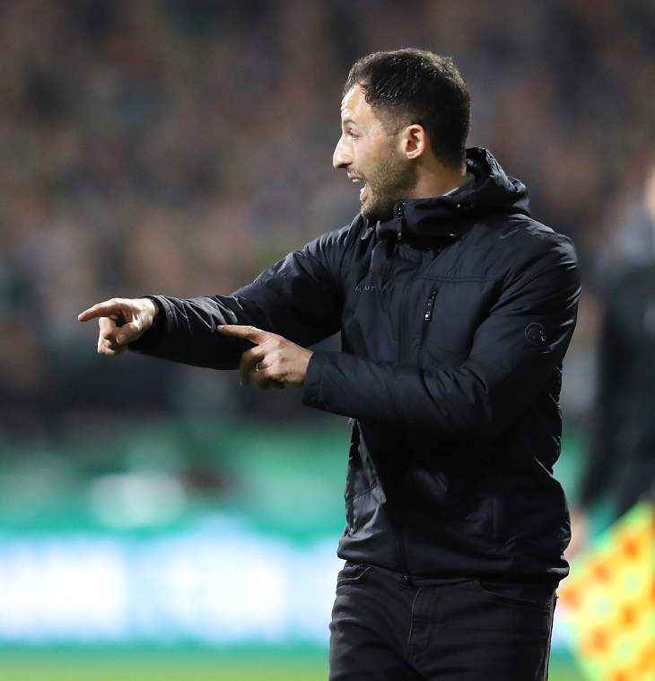 Доменико Тедеско