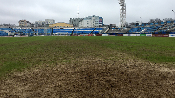 Газон стадиона в Ярославле