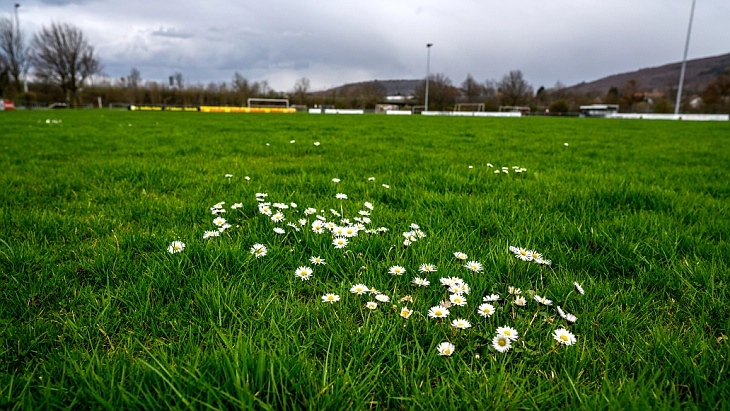 Футбол на карантине