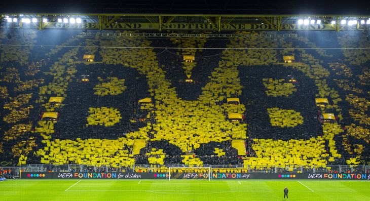 Фанаты «Боруссии» Д