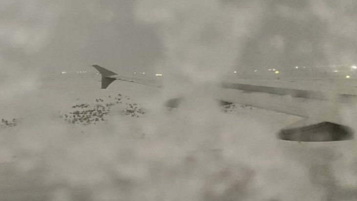 «Реал» не смог вылететь на матч с «Осасуной» из-за снегопада