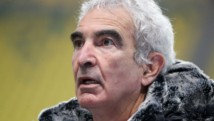 Раймон Доменек