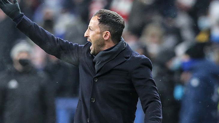 Доменико Тедеско