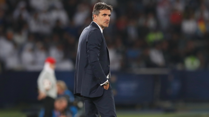 Зоран Мамич