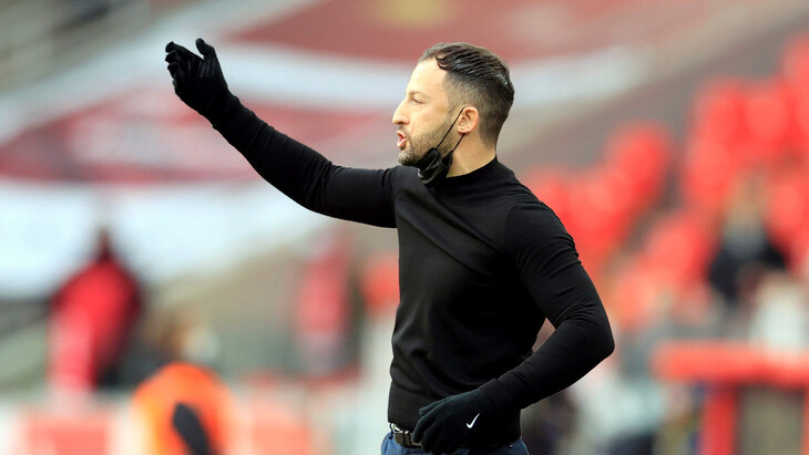 Доменико Тедеско