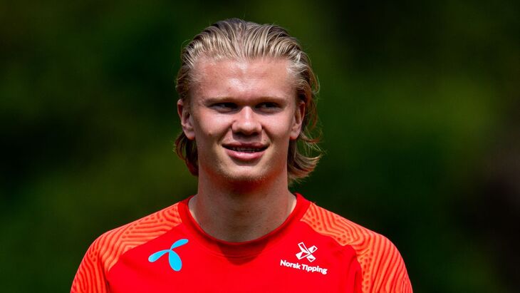 Эрлинг Холанн