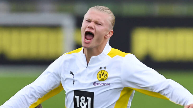 Эрлинг Холанн