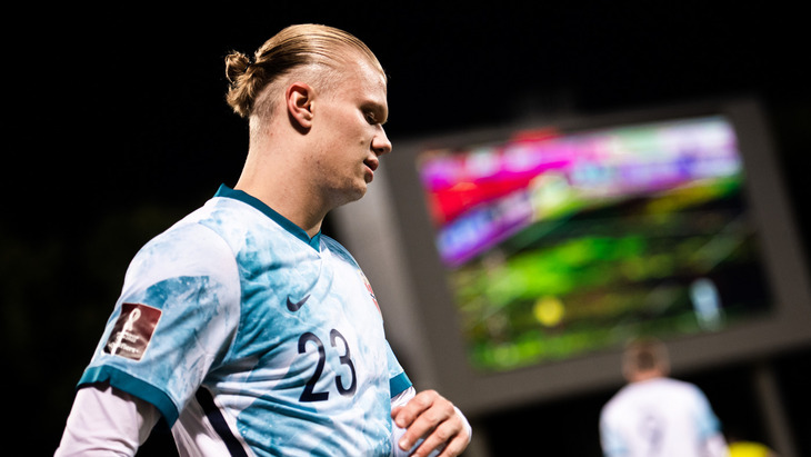 Эрлинг Холанн