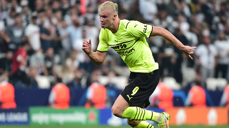 Эрлинг Холанн