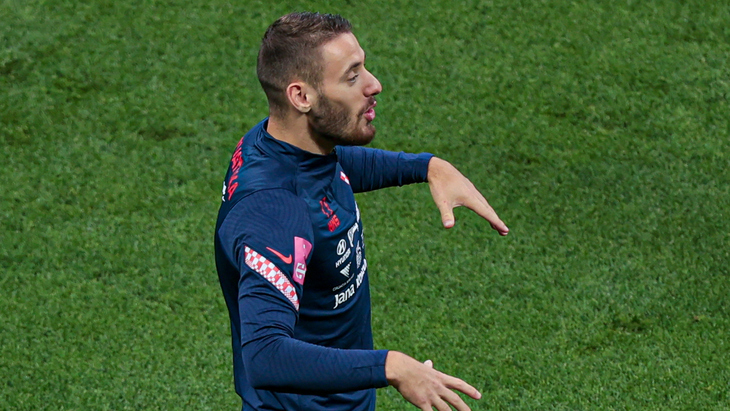 Никола Влашич