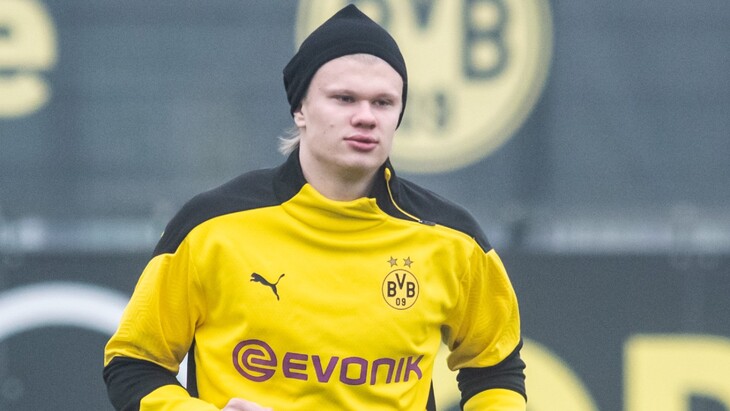 Эрлинг Холанн