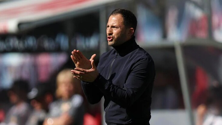 Доменико Тедеско