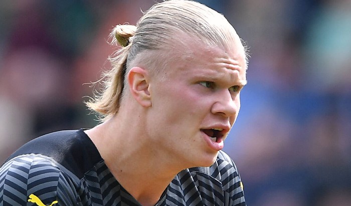 Эрлинг Холанн