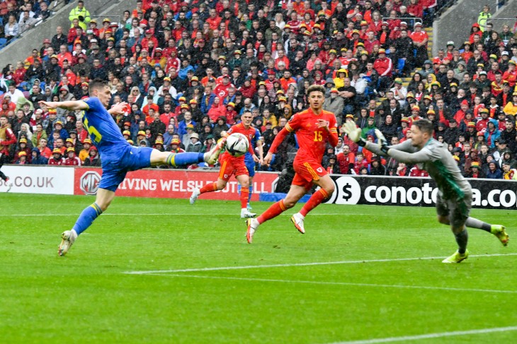 Виктор Цыганков