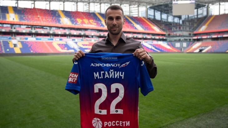 Милан Гайич