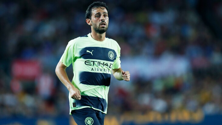 Бернарду Силва