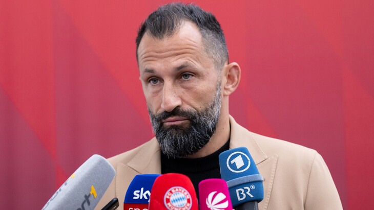 Хасан Салихамиджич