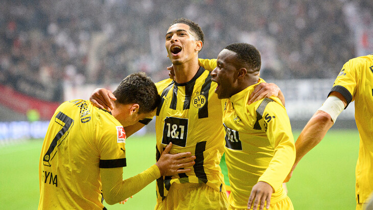 «Боруссия» Д