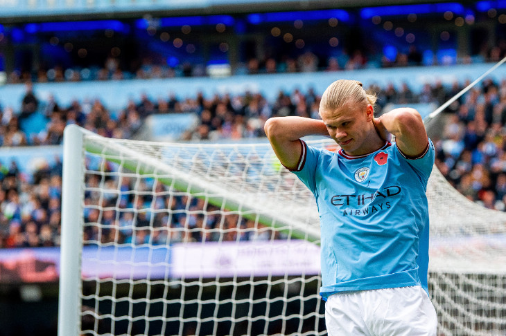 Эрлинг Холанн