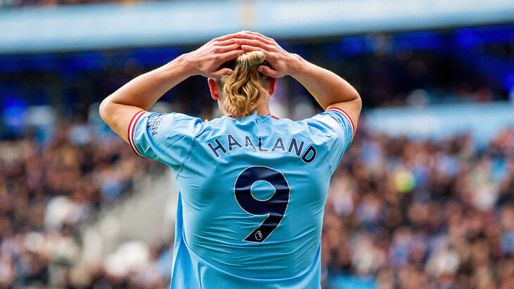 Эрлинг Холанн