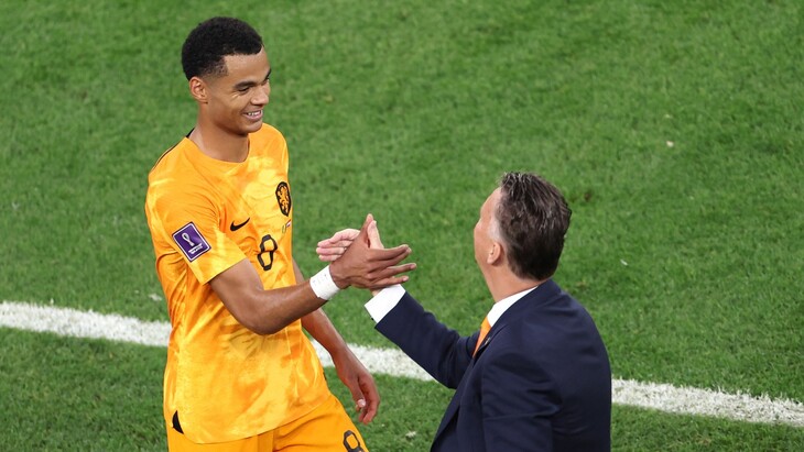 Коди Гакпо и Луи ван Гал