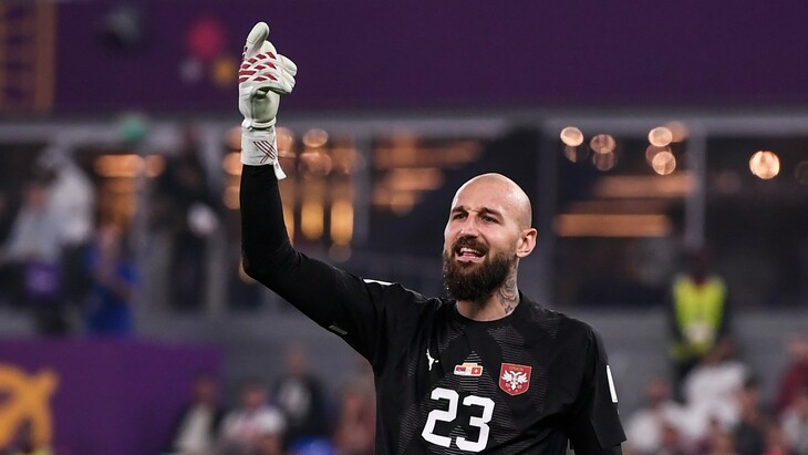 Ваня Милинкович-Савич