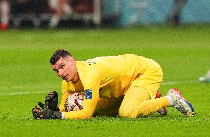 Доминик Ливакович