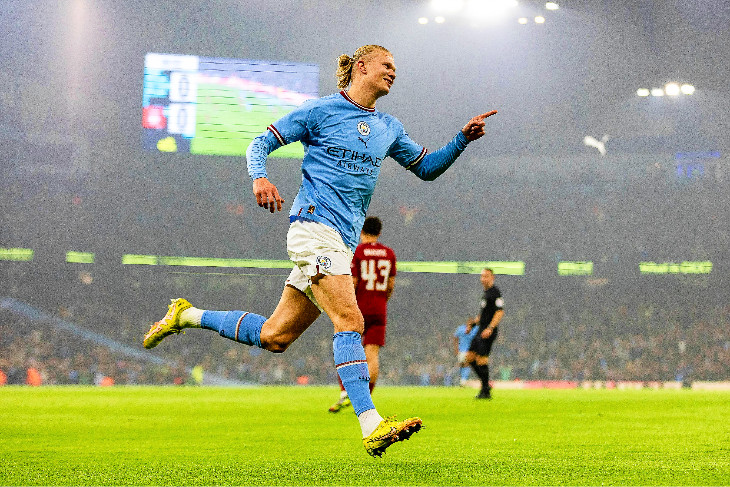 Эрлинг Холанн